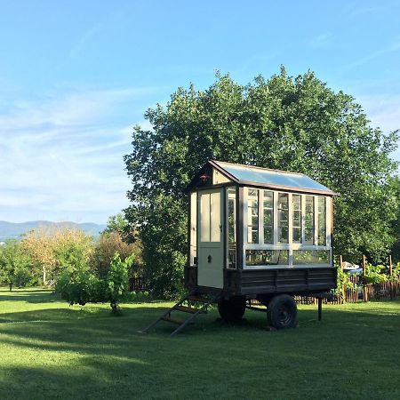 Agriturismo Poggio Salvi Совичиле Екстериор снимка