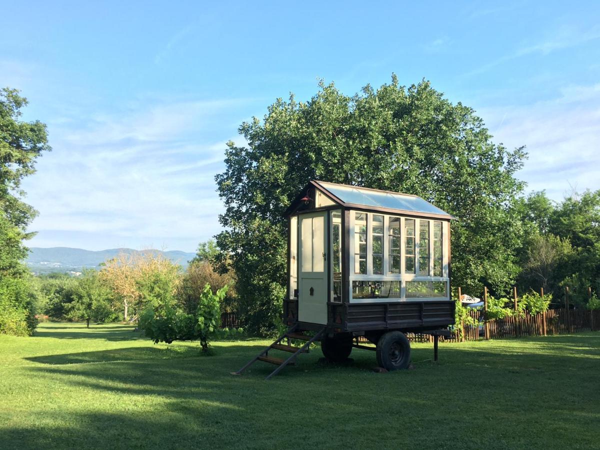Agriturismo Poggio Salvi Совичиле Екстериор снимка