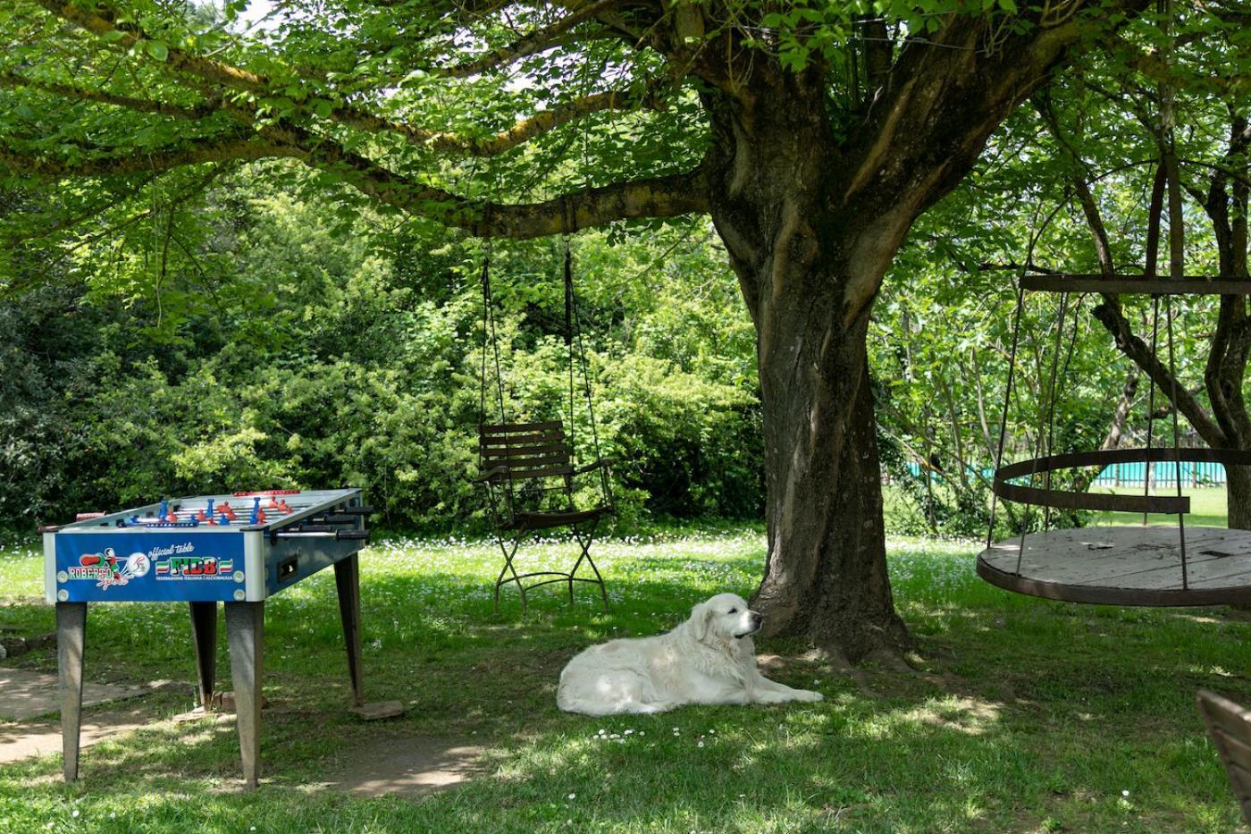 Agriturismo Poggio Salvi Совичиле Екстериор снимка