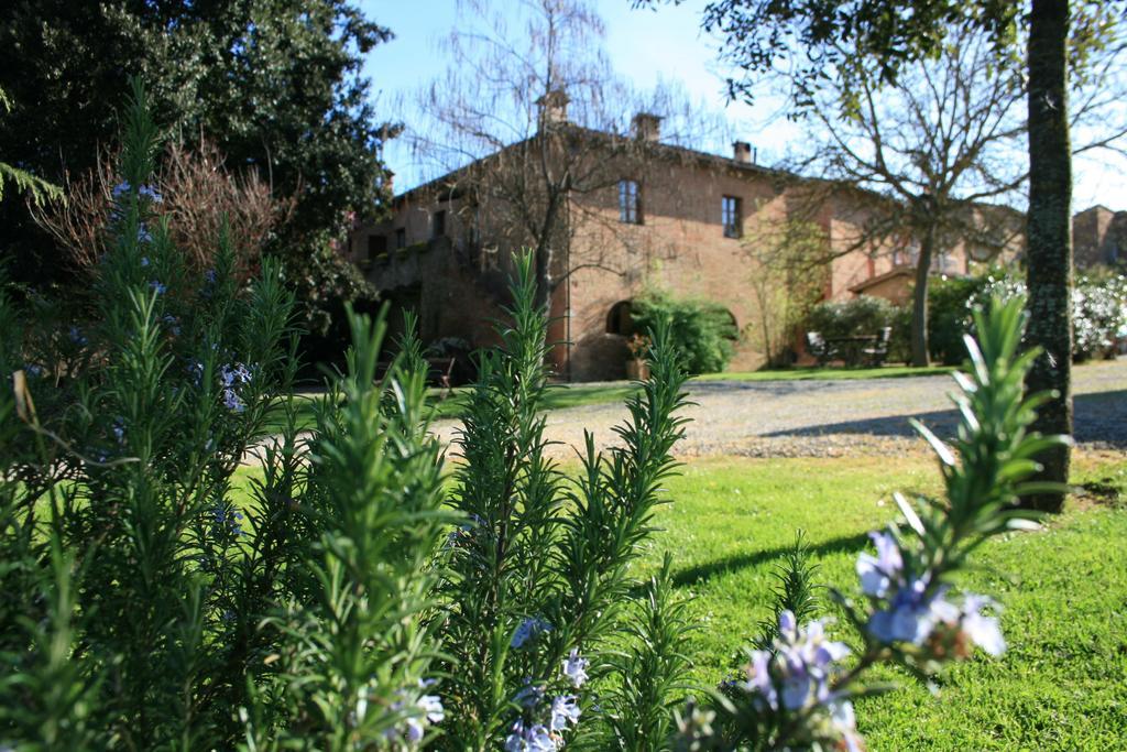 Agriturismo Poggio Salvi Совичиле Екстериор снимка