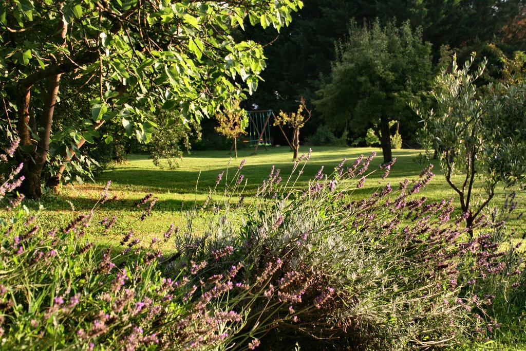 Agriturismo Poggio Salvi Совичиле Екстериор снимка